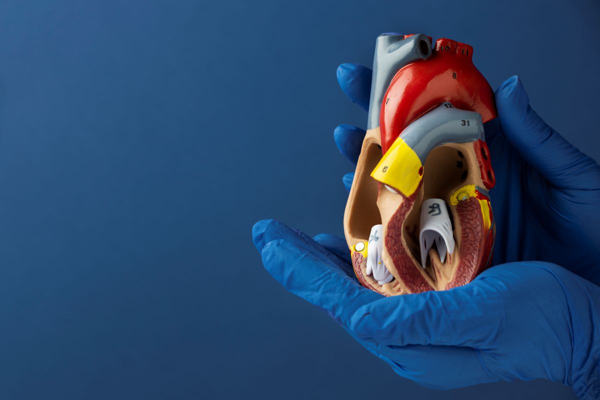 El colesterol HDL: ¿es el bueno o el malo?
