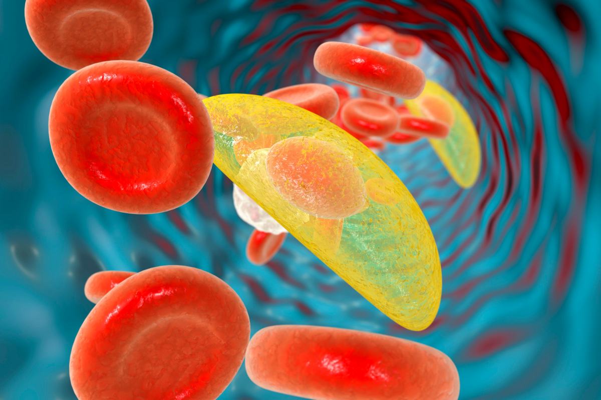Descubre qué es la toxoplasmosis en el embarazo, cuáles son sus síntomas, riesgos para el bebé y cómo prevenirla con medidas sencillas.
